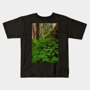 Redwood Sorrel in the Forest Kids T-Shirt